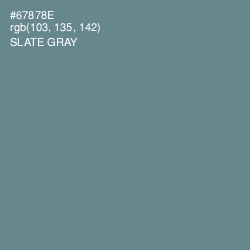 #67878E - Slate Gray Color Image
